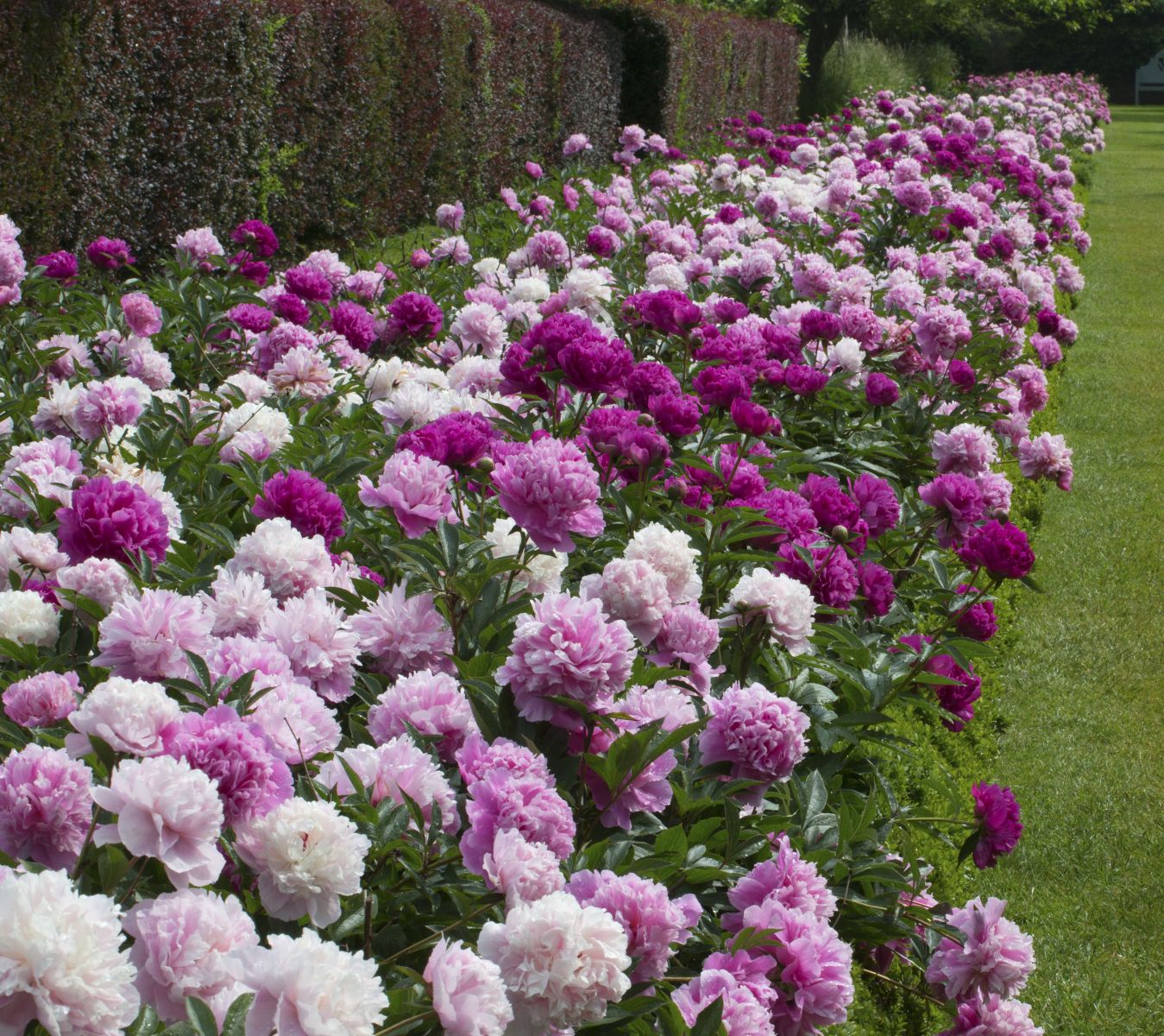 Gardens and Grounds Penshurst Place